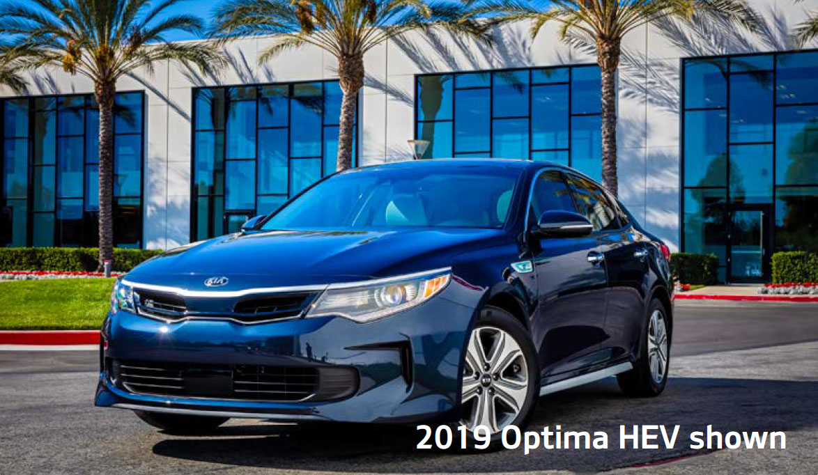 2020-Optima