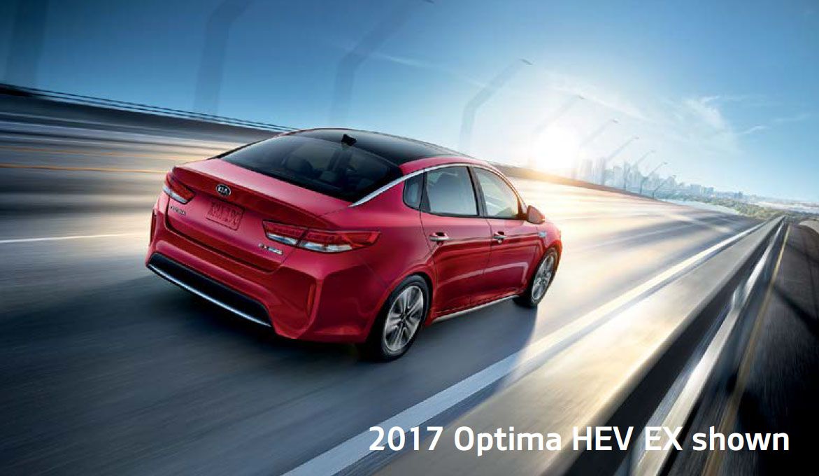 2020-Optima