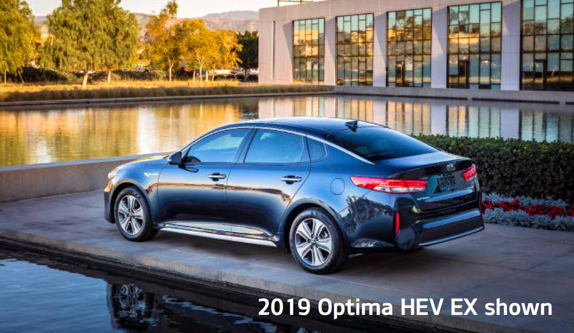 2020-Optima