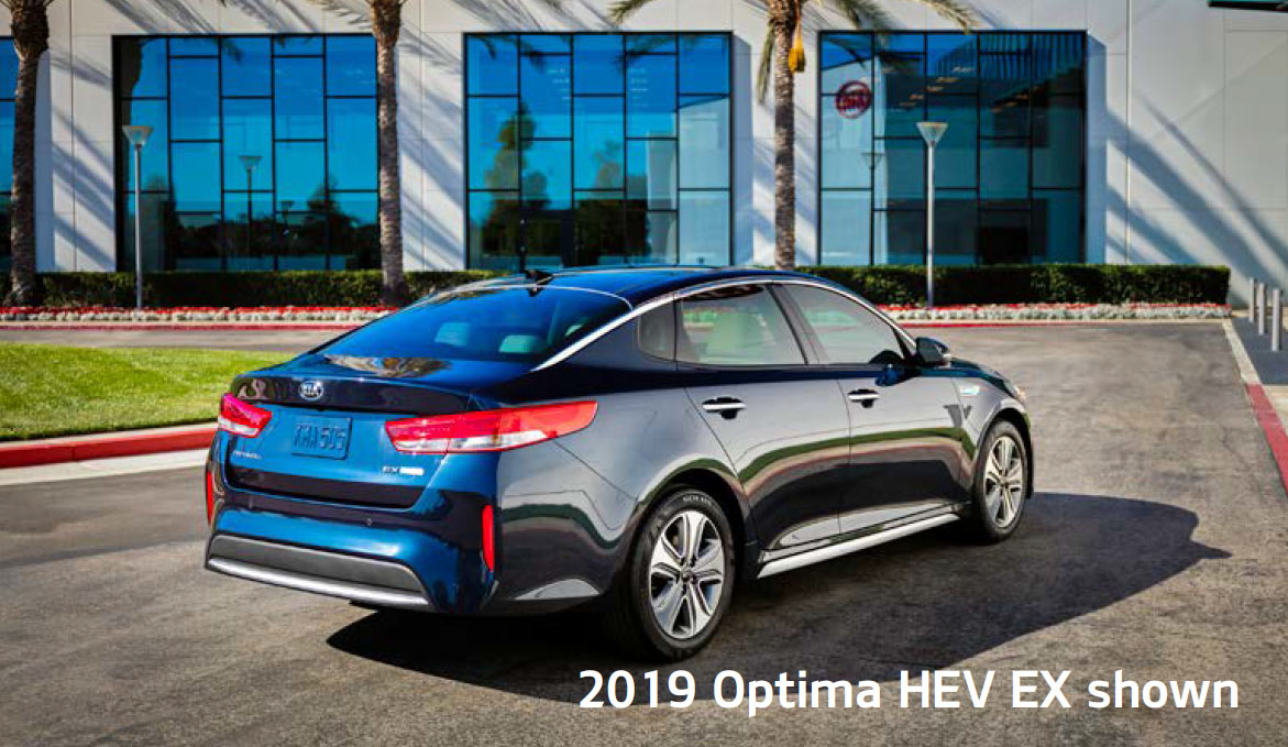 2020-Optima